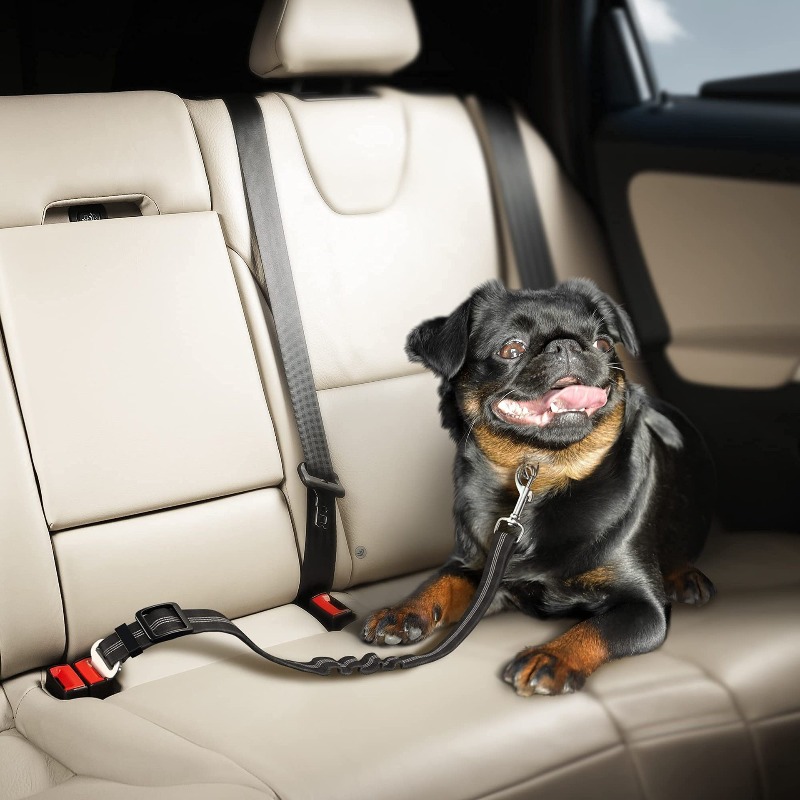 Retractable Dog Car Harness Se - Snap Fastener Set recension och pris