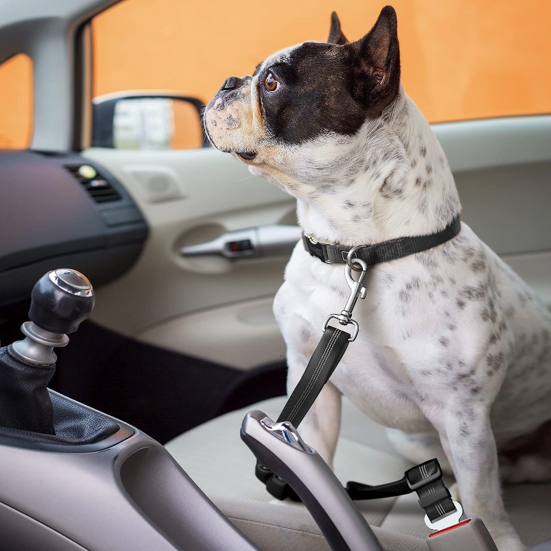 Retractable Dog Car Harness Se - Snap Fastener Set recension och pris